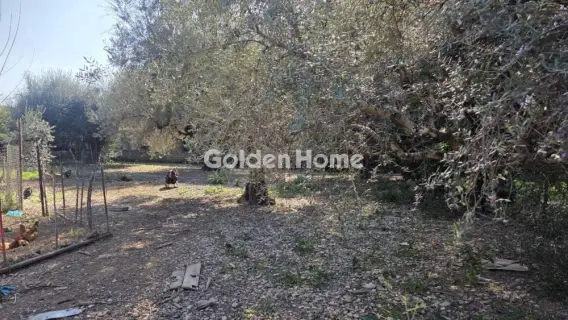 Οικιστικό 796τ.μ. προς πώληση φωτογραφία 5332511