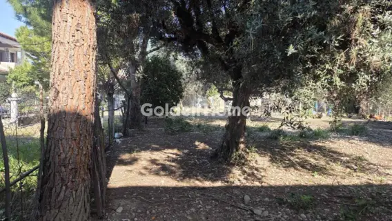 Οικιστικό 796τ.μ. προς πώληση φωτογραφία 5332516