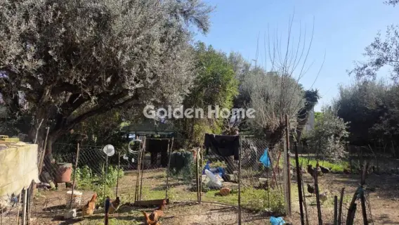 Οικιστικό 796τ.μ. προς πώληση φωτογραφία 5332518