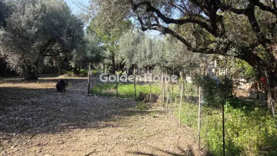 Οικιστικό 796τ.μ. προς πώληση φωτογραφία 5332519