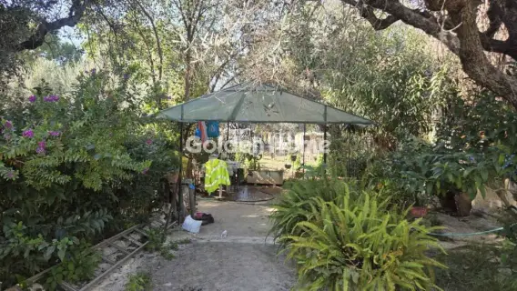 Οικιστικό 796τ.μ. προς πώληση φωτογραφία 5332520