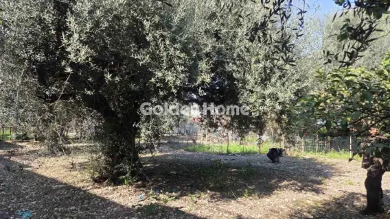 Οικιστικό 796τ.μ. προς πώληση φωτογραφία 5332521