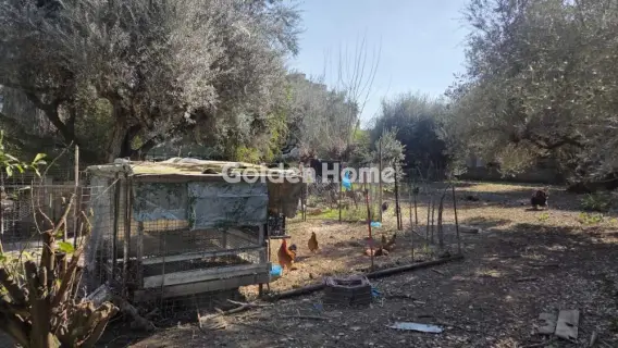 Οικιστικό 796τ.μ. προς πώληση φωτογραφία 5332522