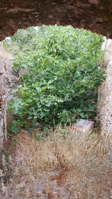 Οικία 98τ.μ. προς πώληση φωτογραφία 6