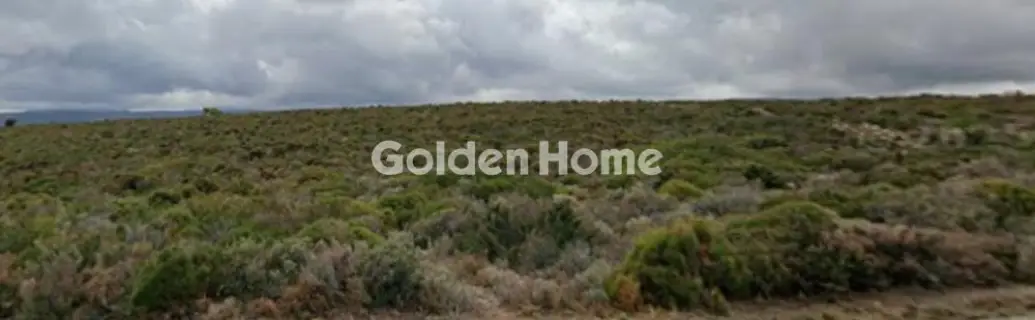 Αγροτεμάχιο 103600τ.μ. προς πώληση φωτογραφία 5324916