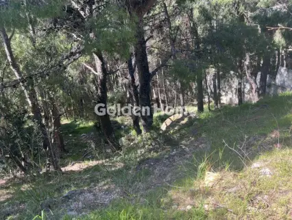 Οικιστικό 1024τ.μ. προς πώληση φωτογραφία 5325046