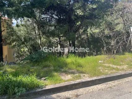 Οικιστικό 1024τ.μ. προς πώληση φωτογραφία 5325046