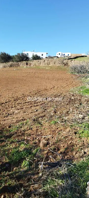 Οικιστικό 4142τ.μ. προς πώληση φωτογραφία 5