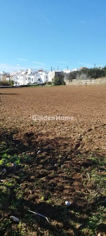 Οικιστικό 4142τ.μ. προς πώληση φωτογραφία 4