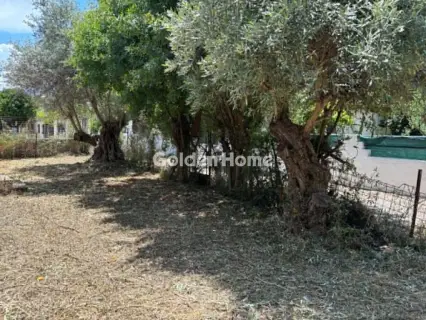 Residential 298m<sup>2</sup> for sale photo 5464283