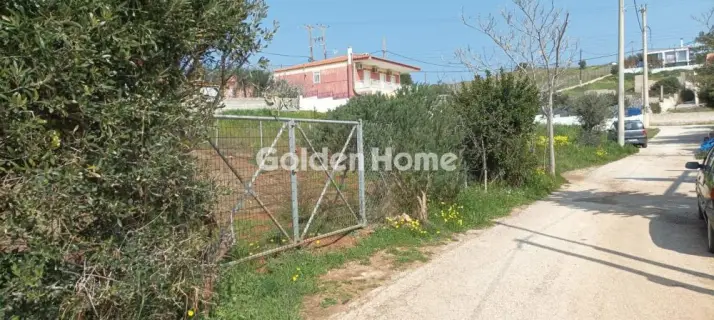 Αγροτεμάχιο 700τ.μ. προς πώληση φωτογραφία 1