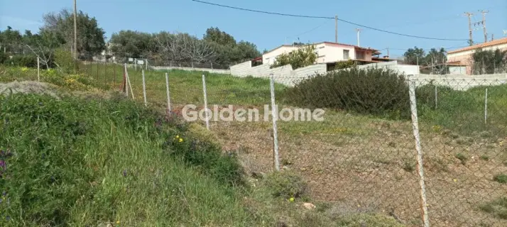 Αγροτεμάχιο 700τ.μ. προς πώληση φωτογραφία 7