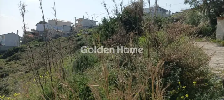 Αγροτεμάχιο 1300τ.μ. προς πώληση φωτογραφία 5325652