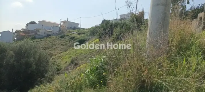 Αγροτεμάχιο 1300τ.μ. προς πώληση φωτογραφία 5325653