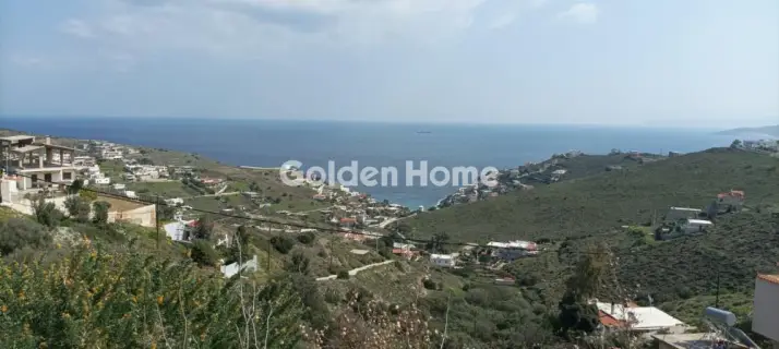 Αγροτεμάχιο 1300τ.μ. προς πώληση φωτογραφία 5325653