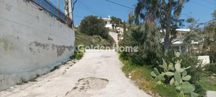 Αγροτεμάχιο 1300τ.μ. προς πώληση φωτογραφία 5325655