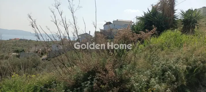 Αγροτεμάχιο 1300τ.μ. προς πώληση φωτογραφία 5325655