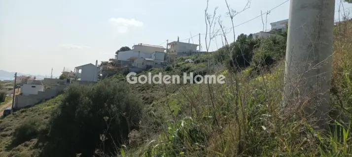 Αγροτεμάχιο 1300τ.μ. προς πώληση φωτογραφία 5325655