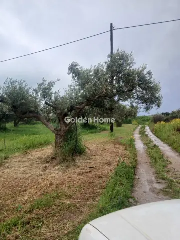 Οικιστικό 18700τ.μ. προς πώληση φωτογραφία 1