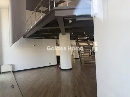 Κατάστημα 1600τ.μ. προς ενοικίαση φωτογραφία 5327139