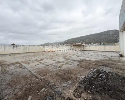 Αυτόνομο Κτίριο 1624τ.μ. προς πώληση φωτογραφία 19