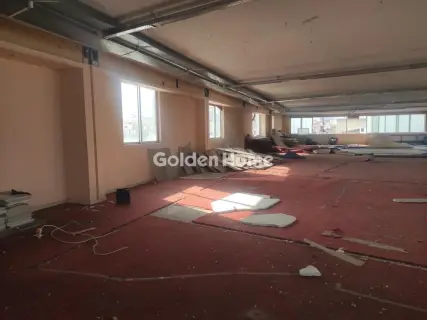 Αυτόνομο Κτίριο 4630τ.μ. προς πώληση φωτογραφία 5328125