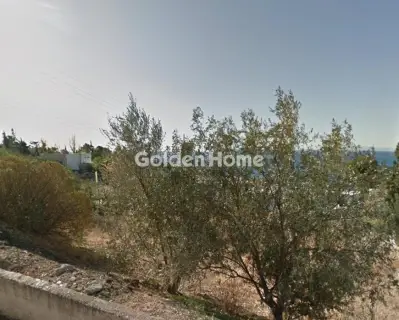 Residential 980m<sup>2</sup> for sale photo 3