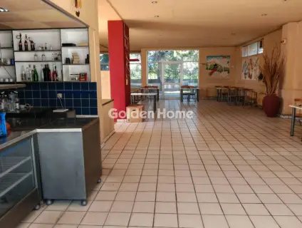 Store 305m<sup>2</sup> for rent photo 8