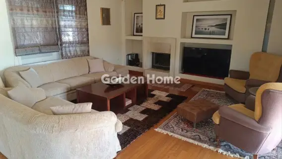 Μονοκατοικία 370τ.μ. προς πώληση φωτογραφία 2