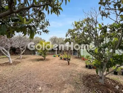 House 60m<sup>2</sup> for sale photo 4