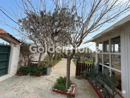 House 60m<sup>2</sup> for sale photo 18