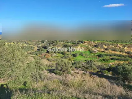 Οικιστικό 4000τ.μ. προς πώληση φωτογραφία 5361274