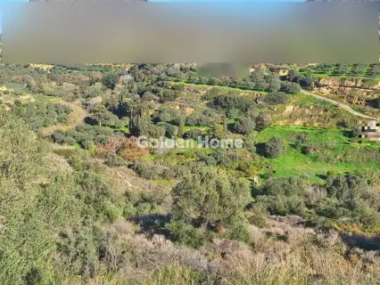 Οικιστικό 4000τ.μ. προς πώληση φωτογραφία 5361270