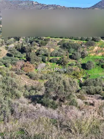 Οικιστικό 4000τ.μ. προς πώληση φωτογραφία 5361275