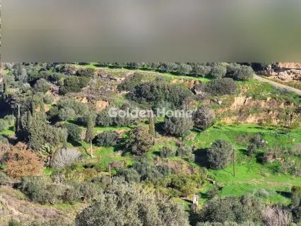 Οικιστικό 4000τ.μ. προς πώληση φωτογραφία 5361272