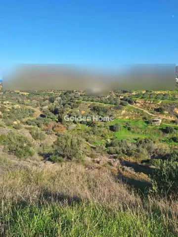 Οικιστικό 4000τ.μ. προς πώληση φωτογραφία 5361273