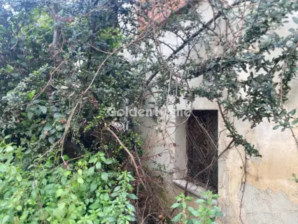 Residential 350m<sup>2</sup> for sale photo 1