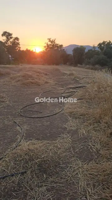 Επαγγελ. Οικόπεδο 735τ.μ. προς πώληση φωτογραφία 5340234