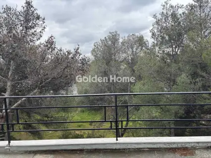 Μονοκατοικία 420τ.μ. προς πώληση φωτογραφία 20