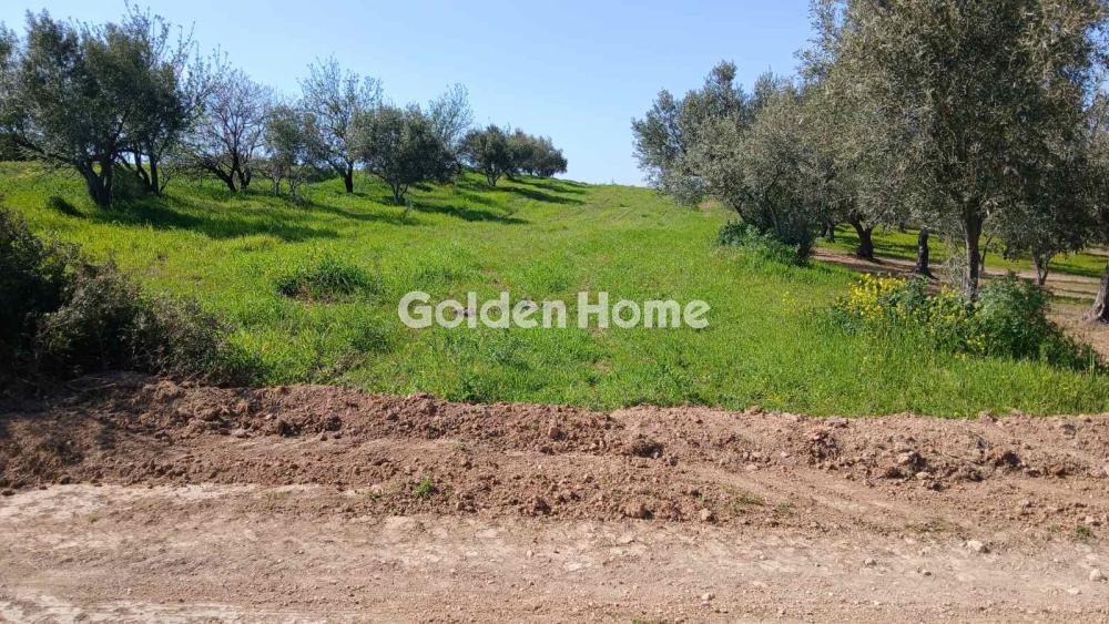 Parcel 4500m<sup>2</sup> for sale display photo