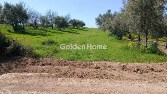 Αγροτεμάχιο 2356τ.μ. προς πώληση φωτογραφία 5332212