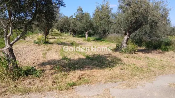 Αγροτεμάχιο 1336τ.μ. προς πώληση φωτογραφία 5332217