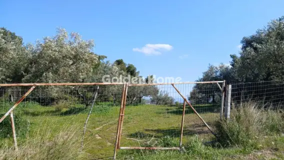 Αγροτεμάχιο 4500τ.μ. προς πώληση φωτογραφία 5332218