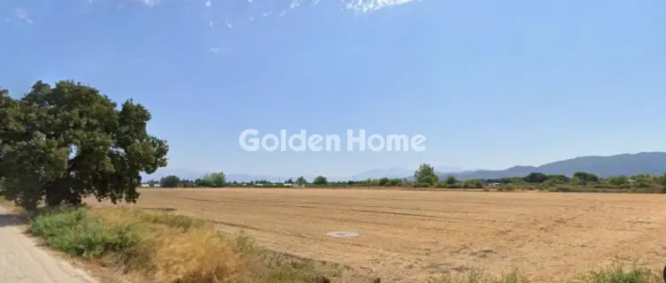 Αγροτεμάχιο 64τ.μ. προς πώληση φωτογραφία 5332228