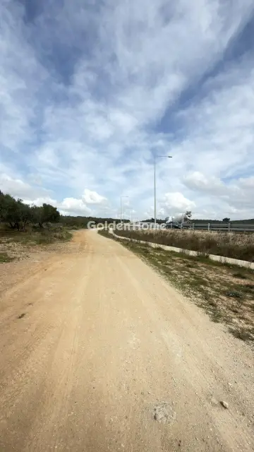 Επαγγελ. Οικόπεδο 10000τ.μ. προς ενοικίαση φωτογραφία 9