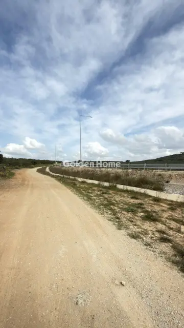 Επαγγελ. Οικόπεδο 10000τ.μ. προς ενοικίαση φωτογραφία 12