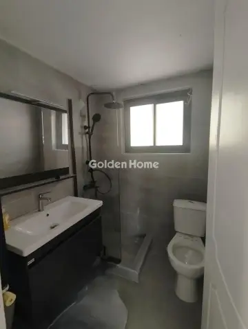 Μονοκατοικία 250τ.μ. προς ενοικίαση φωτογραφία 13