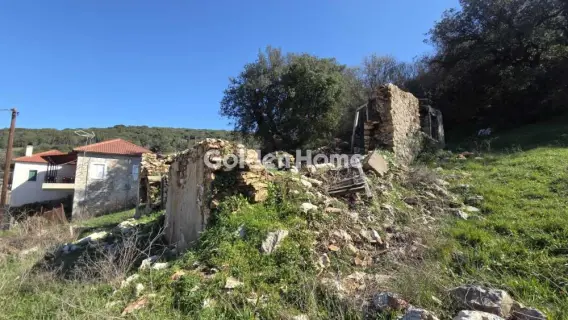 Residential 391m<sup>2</sup> for sale photo 5332593