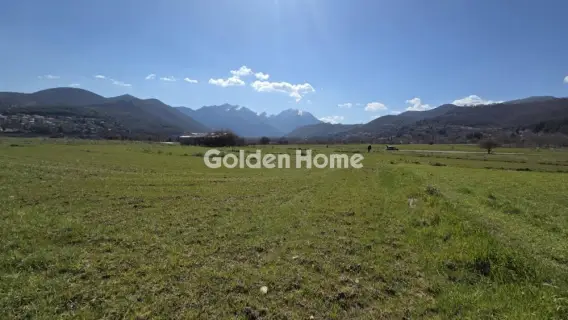 Αγροτεμάχιο 2000τ.μ. προς πώληση φωτογραφία 5332629