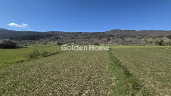 Αγροτεμάχιο 2000τ.μ. προς πώληση φωτογραφία 5332628